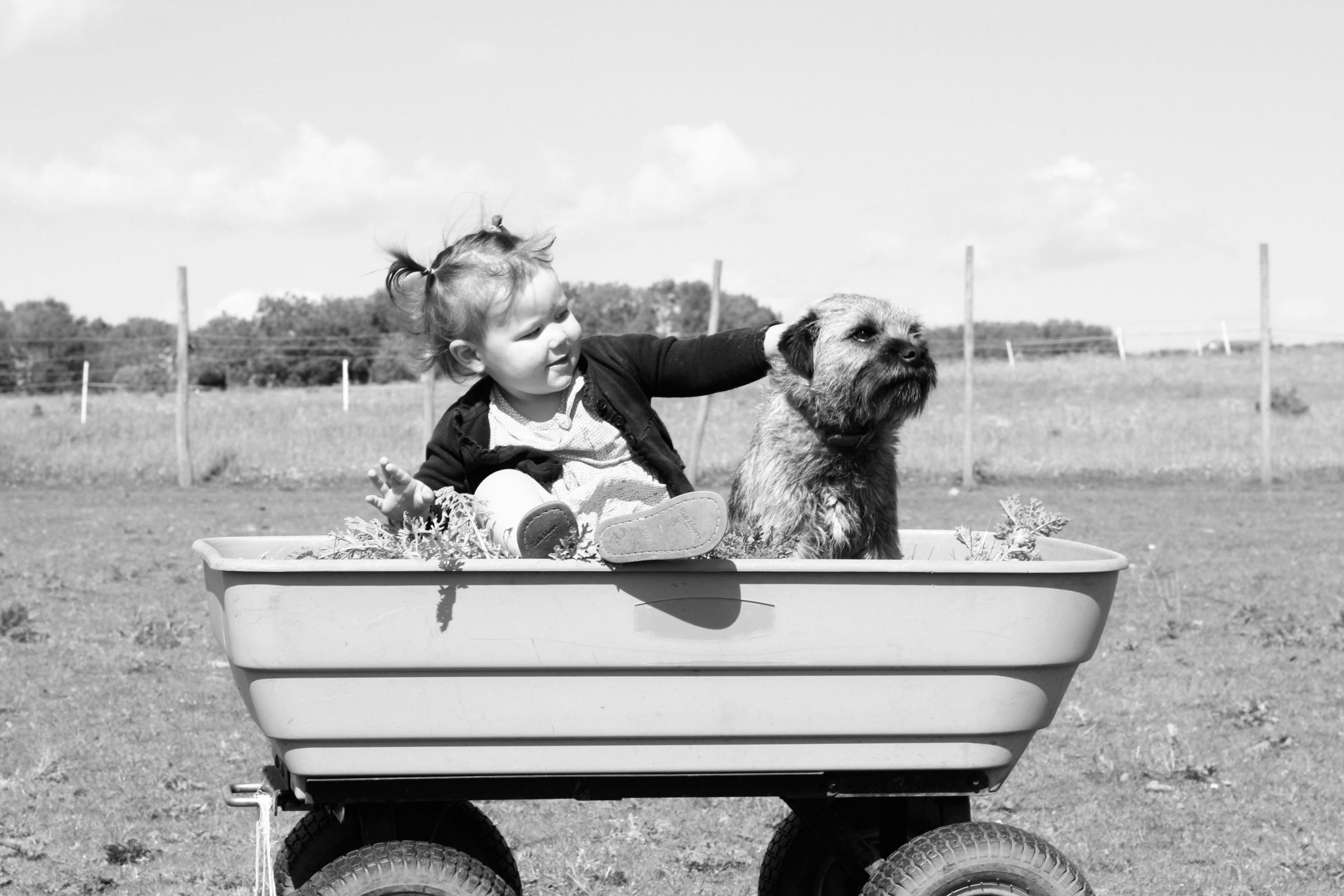nina con perro en carro