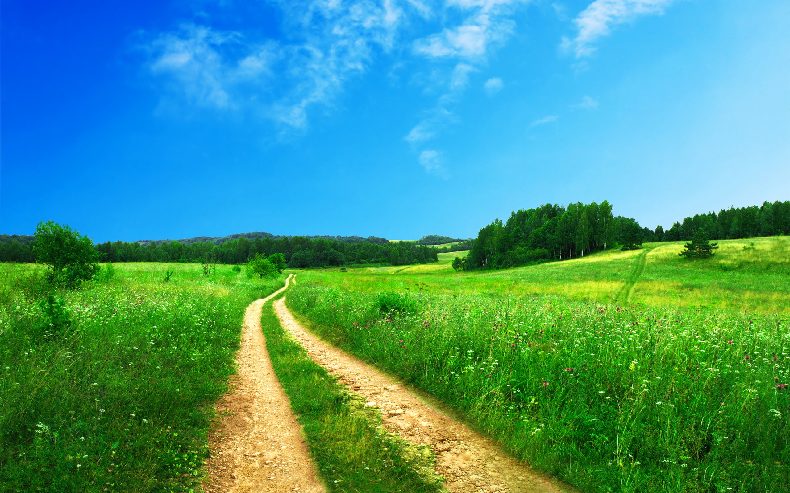 camino amarillo en el campo verde con cielo azul